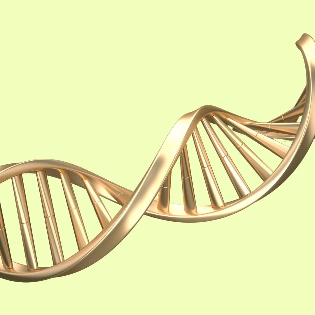 dna