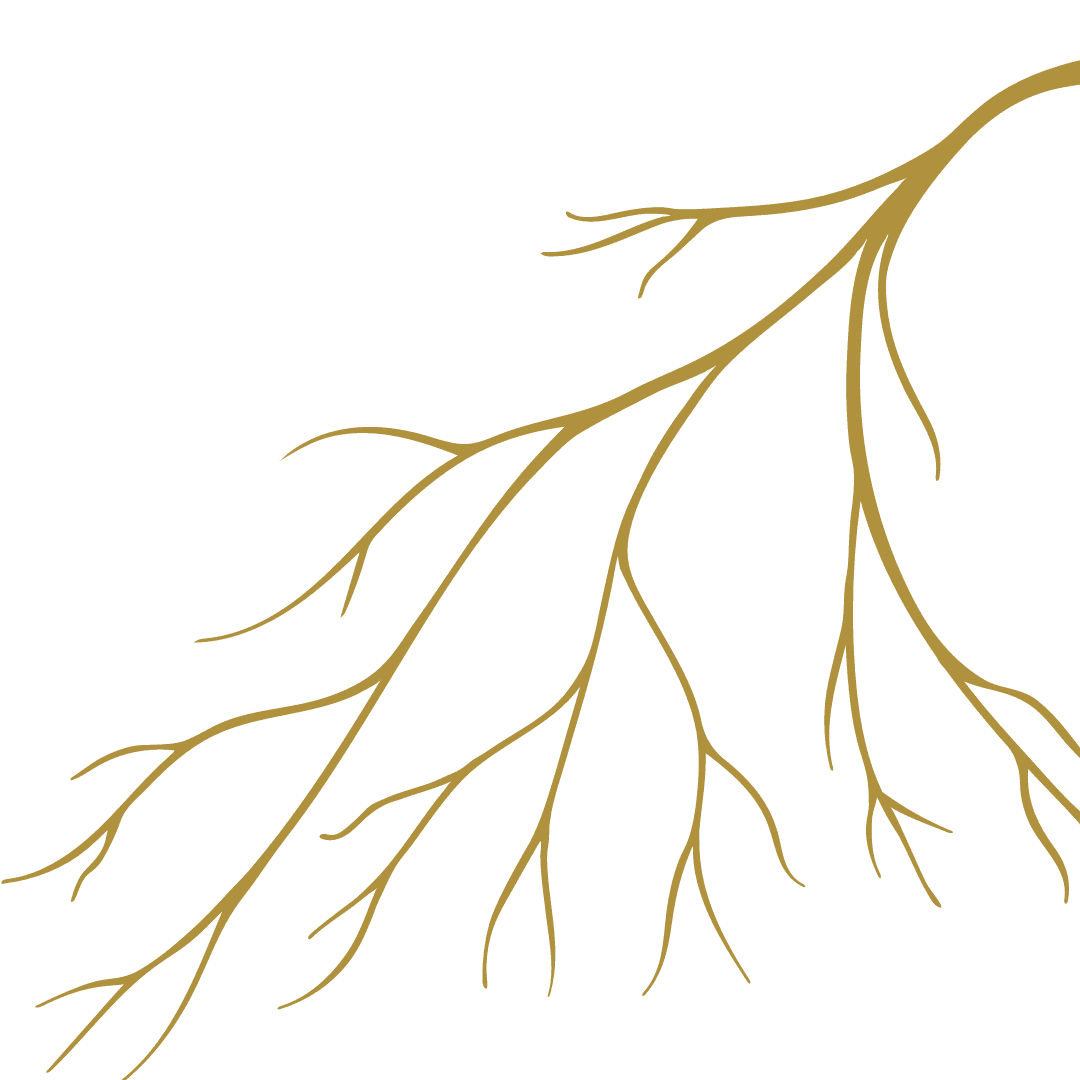 root